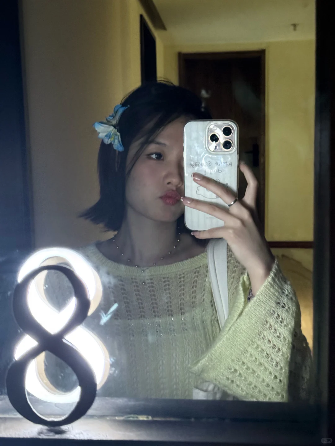 半城山色半城湖·济南