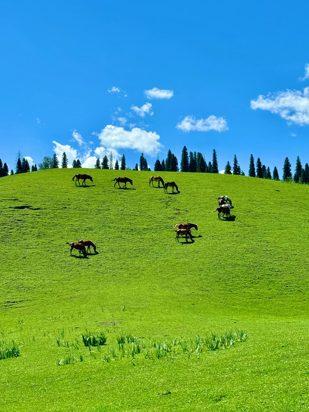 “在新疆拍到了我的人生live图~”