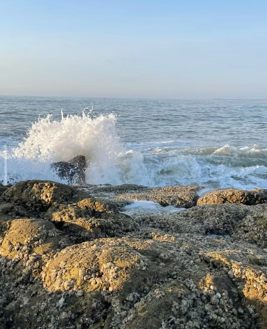 🌊日照海边｜假期一定要来！！！