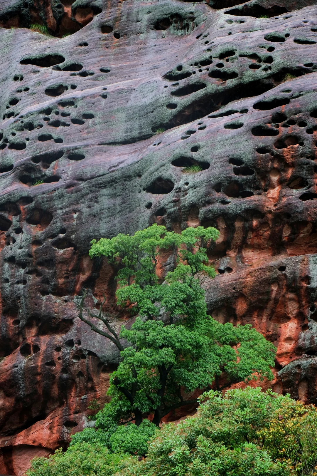 龟峰 江西旅游的宝藏地