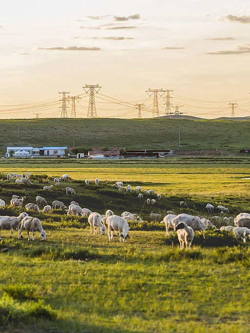 谁到内蒙古只为了看草原呀？内蒙景点汇总！