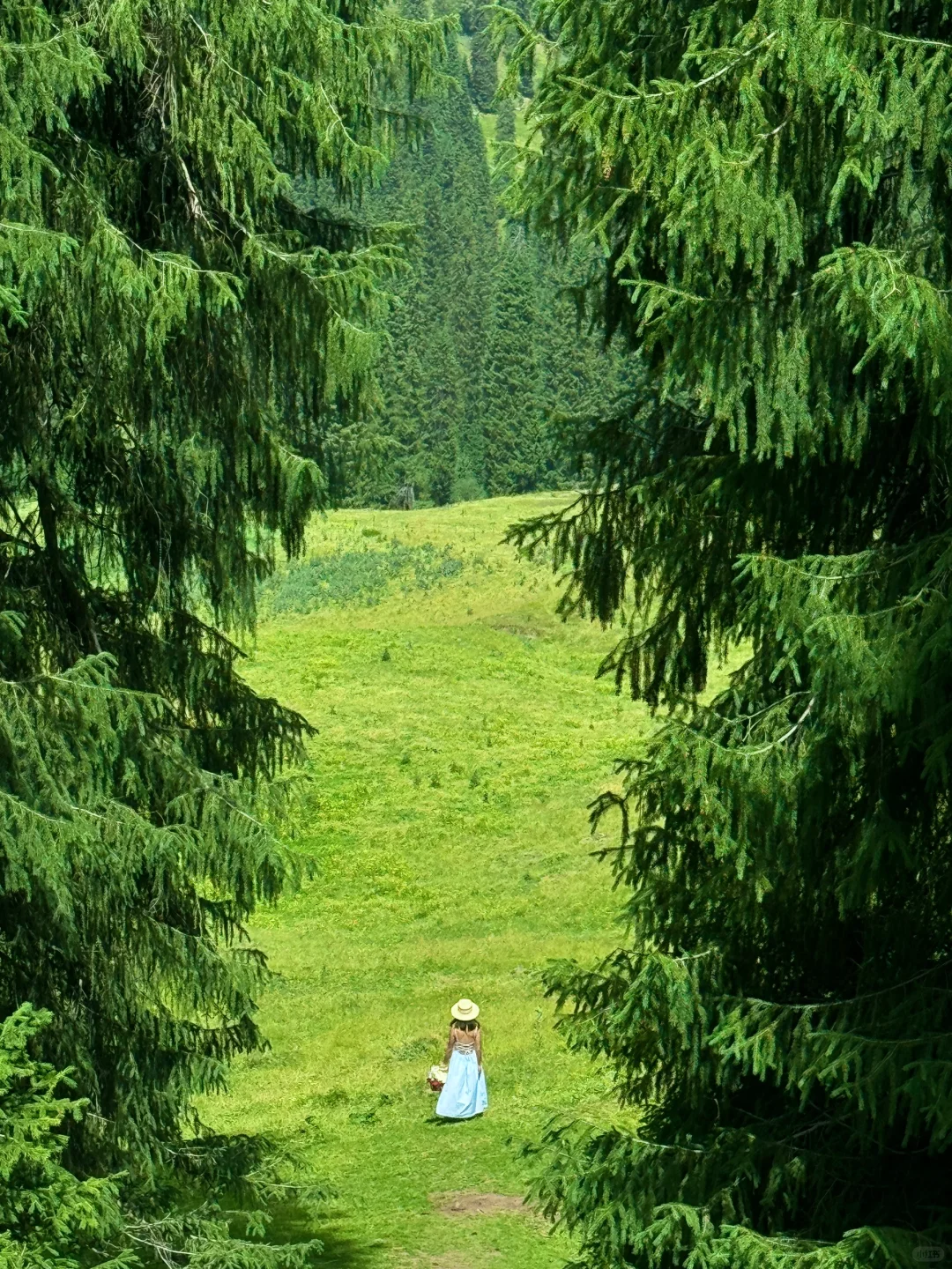 “在新疆拍到了我的人生live图~”