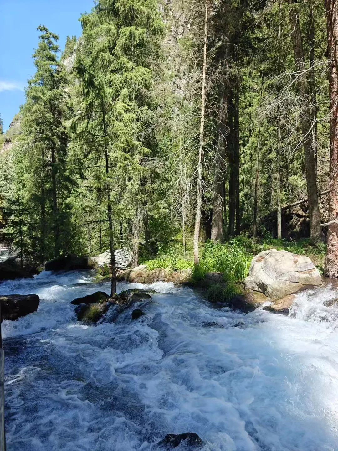 🌄天山天池 | 夏日限定的清凉仙境攻略