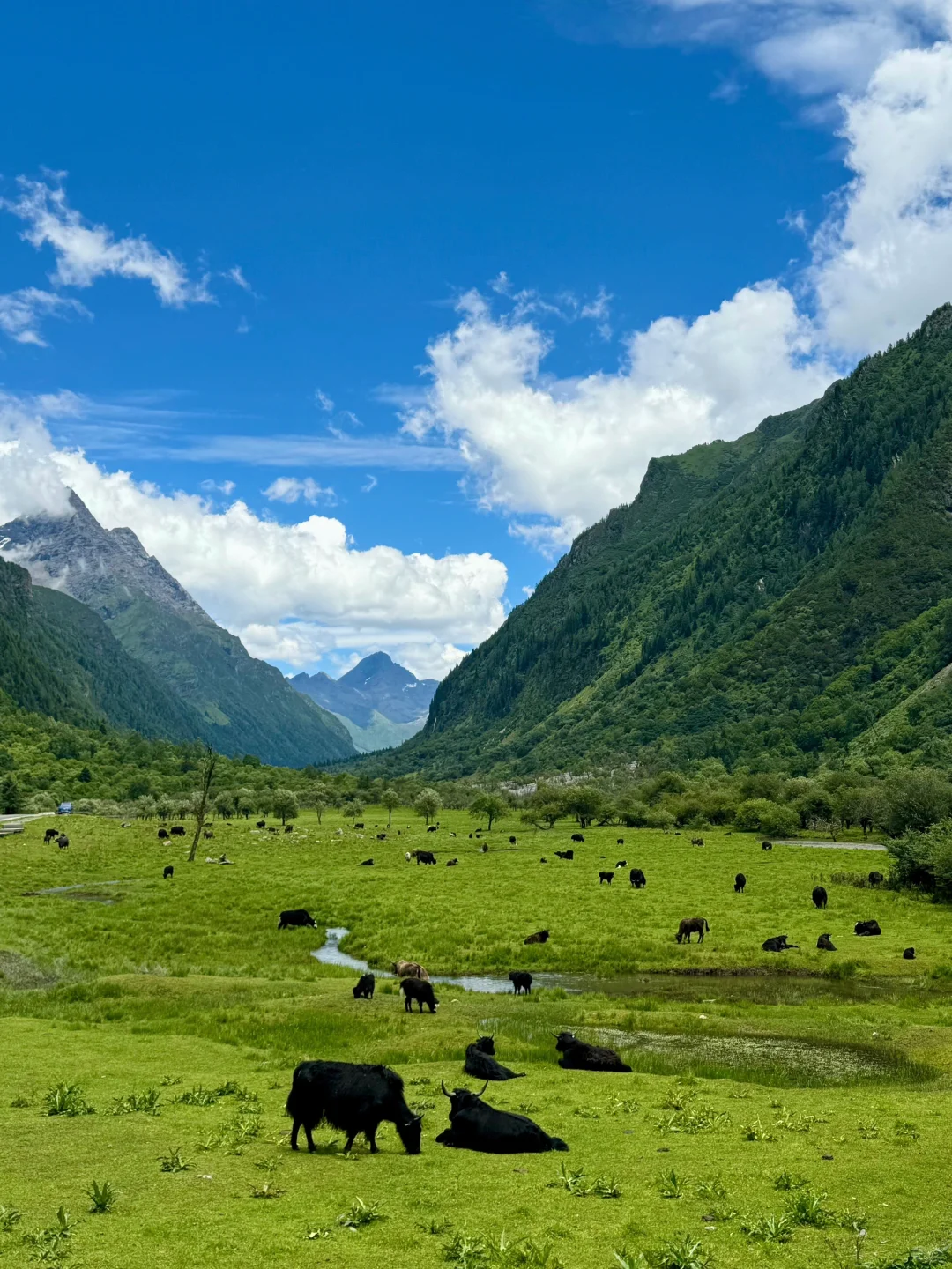 5.17📍四姑娘山豪赌成功,live📷原图直出