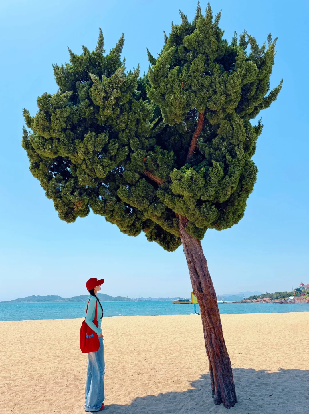 从济南出发！一条神仙级的看海citywalk路线