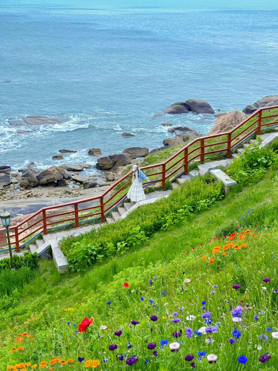 从济南出发！一条神仙级的看海citywalk路线
