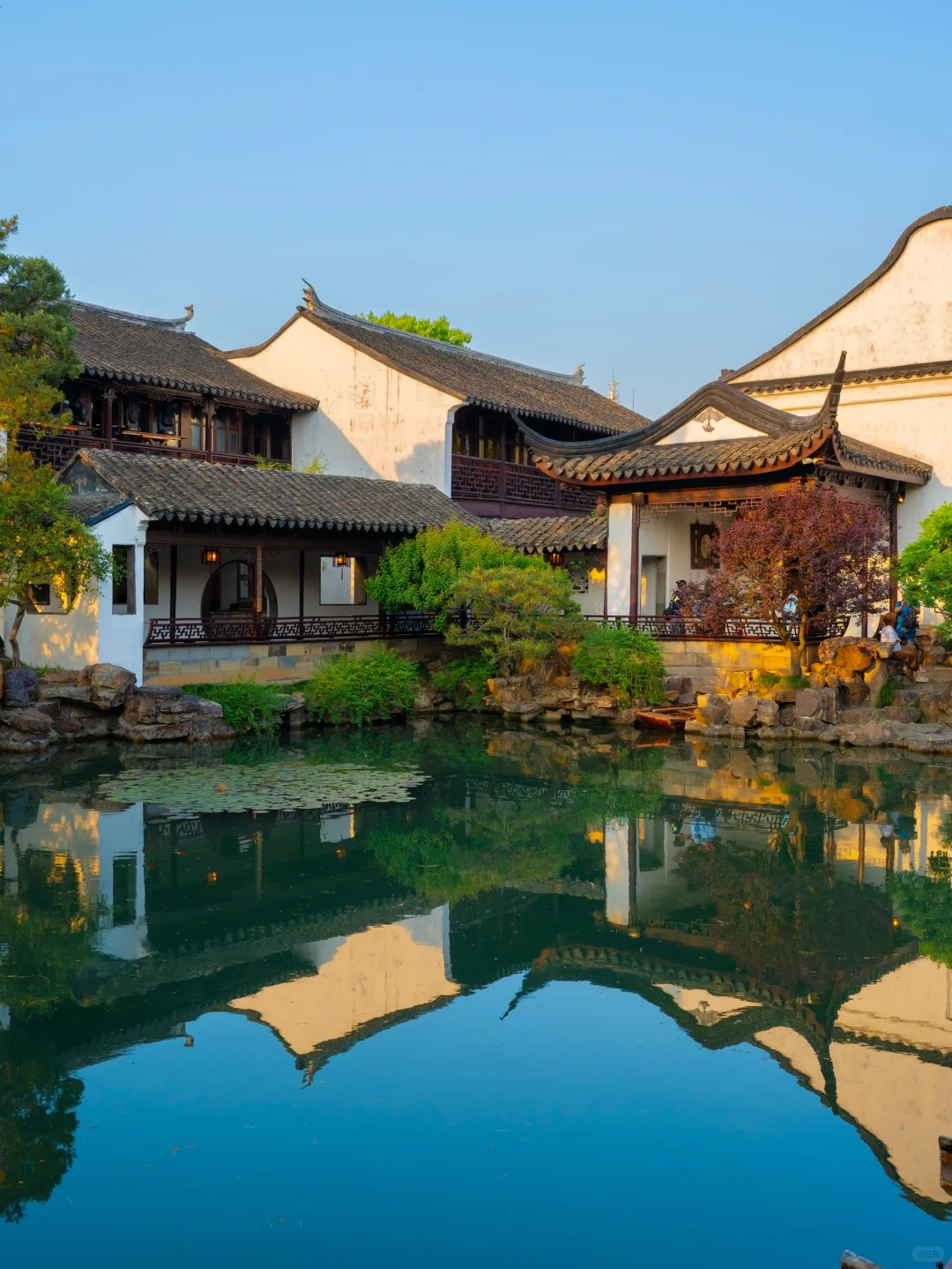 为了这1⃣️6⃣️张图，特地来了趟苏州