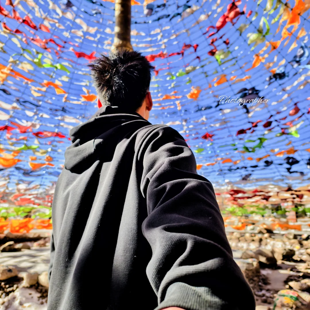 一路向西，感受那自由的风