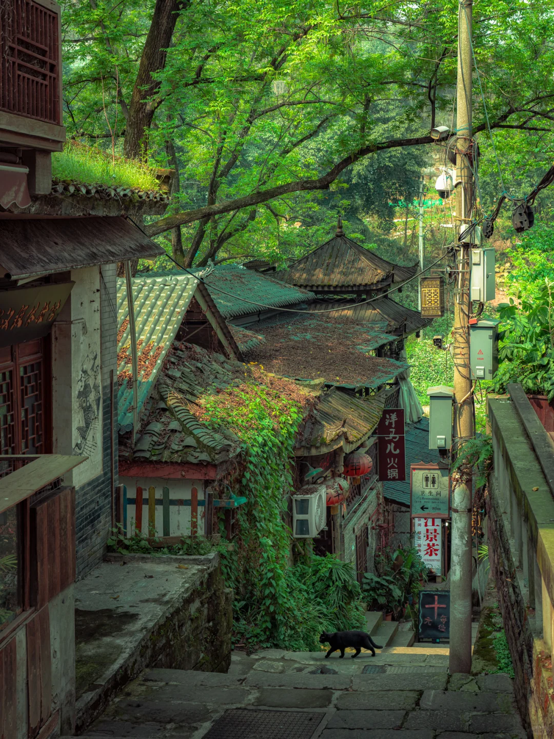 我好像拍到了小时候的夏天。