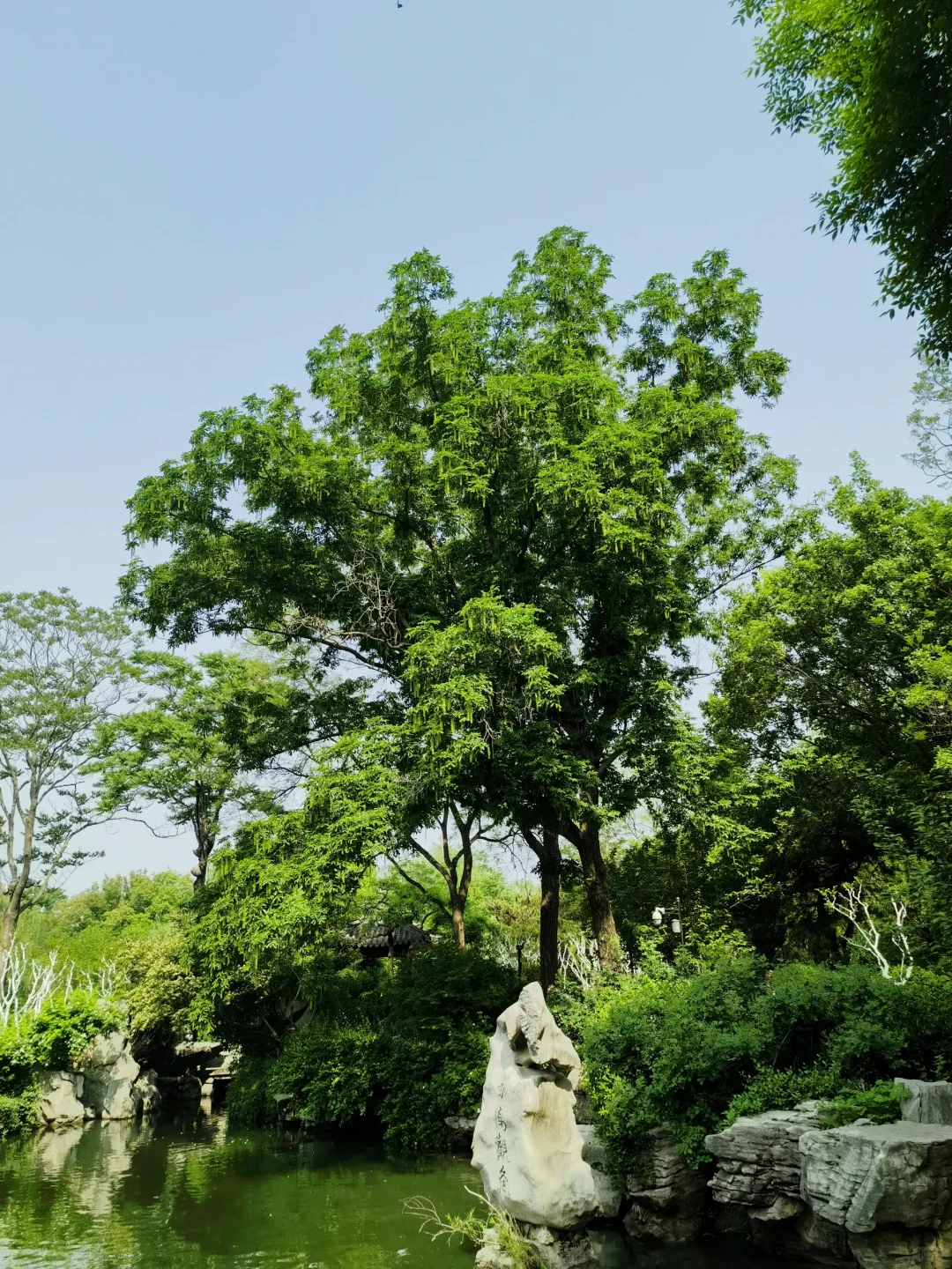 济南｜五龙潭公园