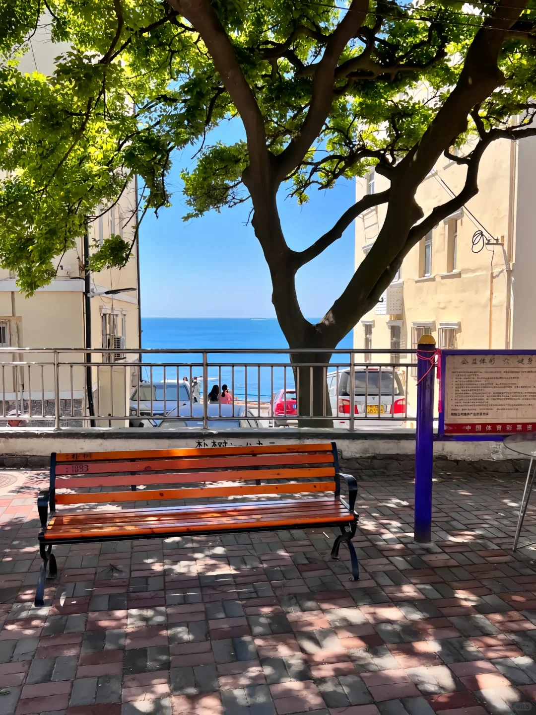 青岛三天两晚保姆级攻略|本地人私藏