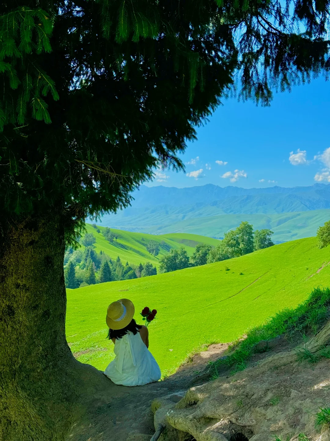 “在新疆拍到了我的人生live图~”