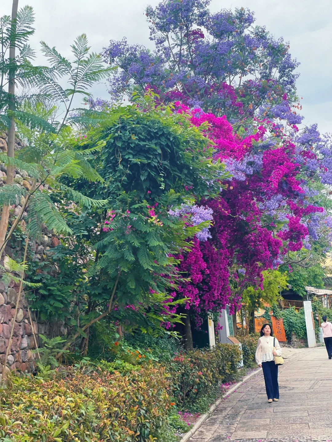 寻觅小众景点ing📸超级适合拍照的网红古村