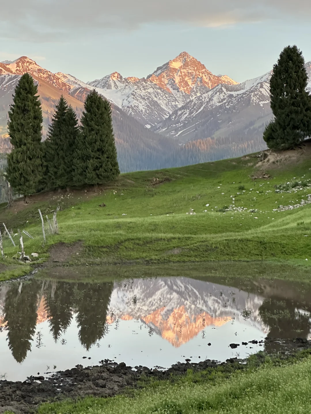 live｜新疆的初夏