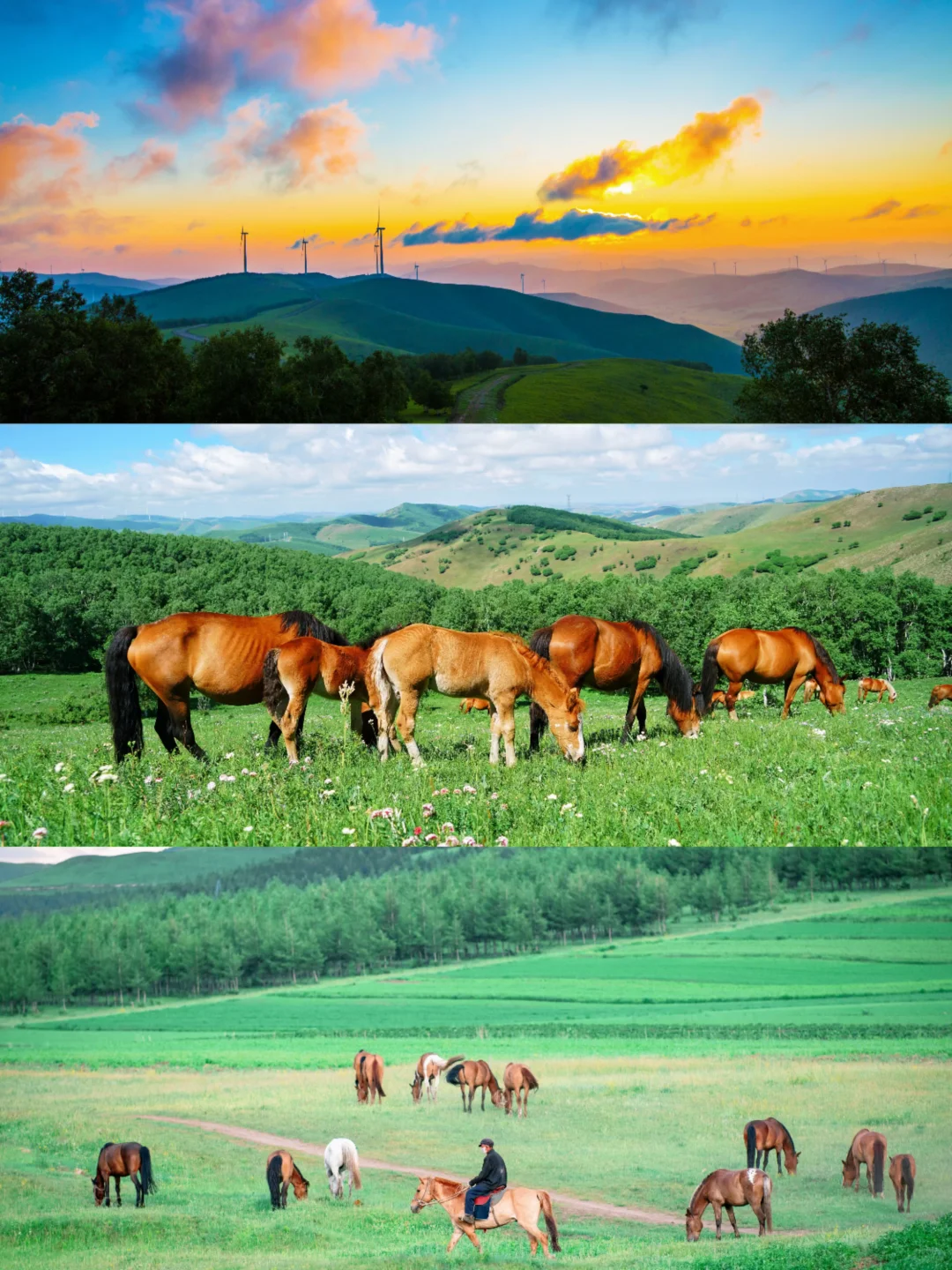 🌿误入上帝的后花园｜宫崎骏看了都得愣3秒‼️