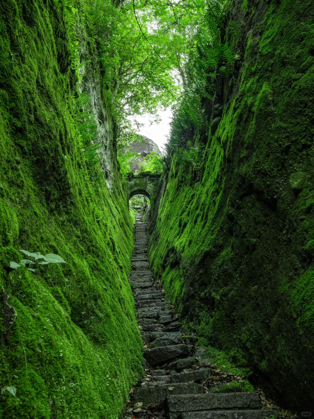 反向旅游天花板!江浙沪高铁2h直达人间仙境