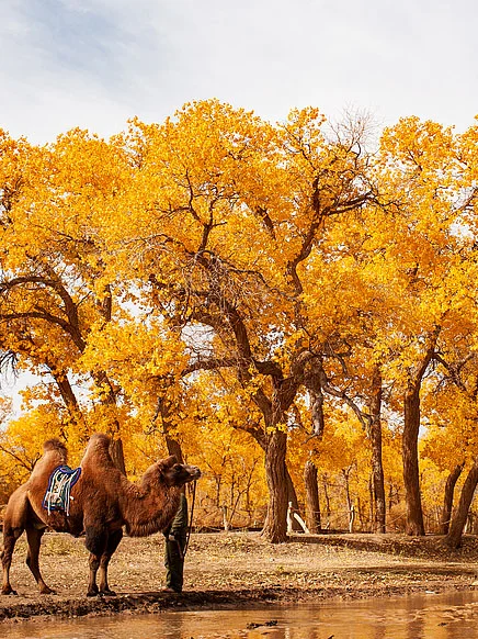 谁到内蒙古只为了看草原呀？内蒙景点汇总！
