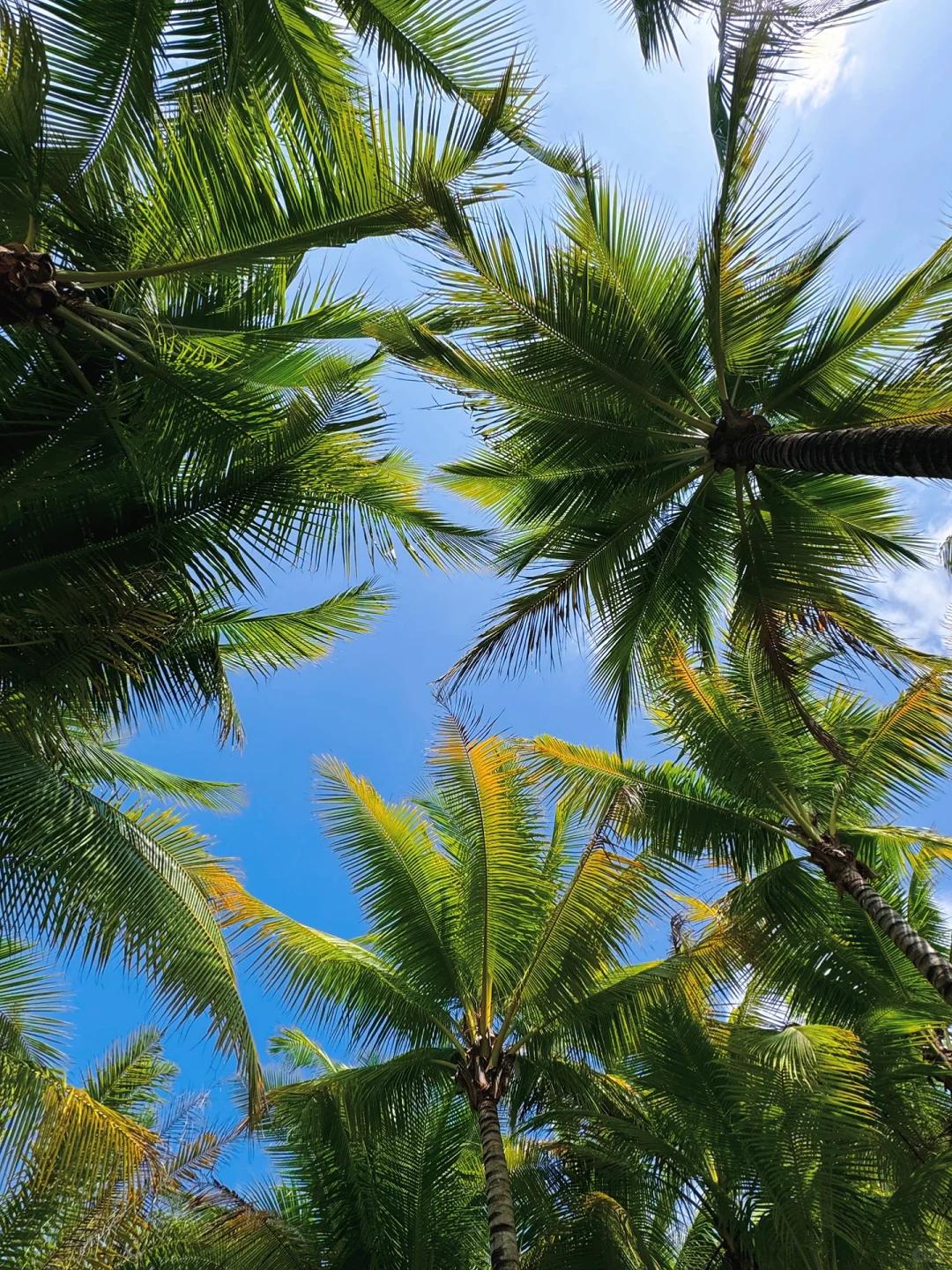 为了这几张图｜特地去了一趟大小洞天🏖️