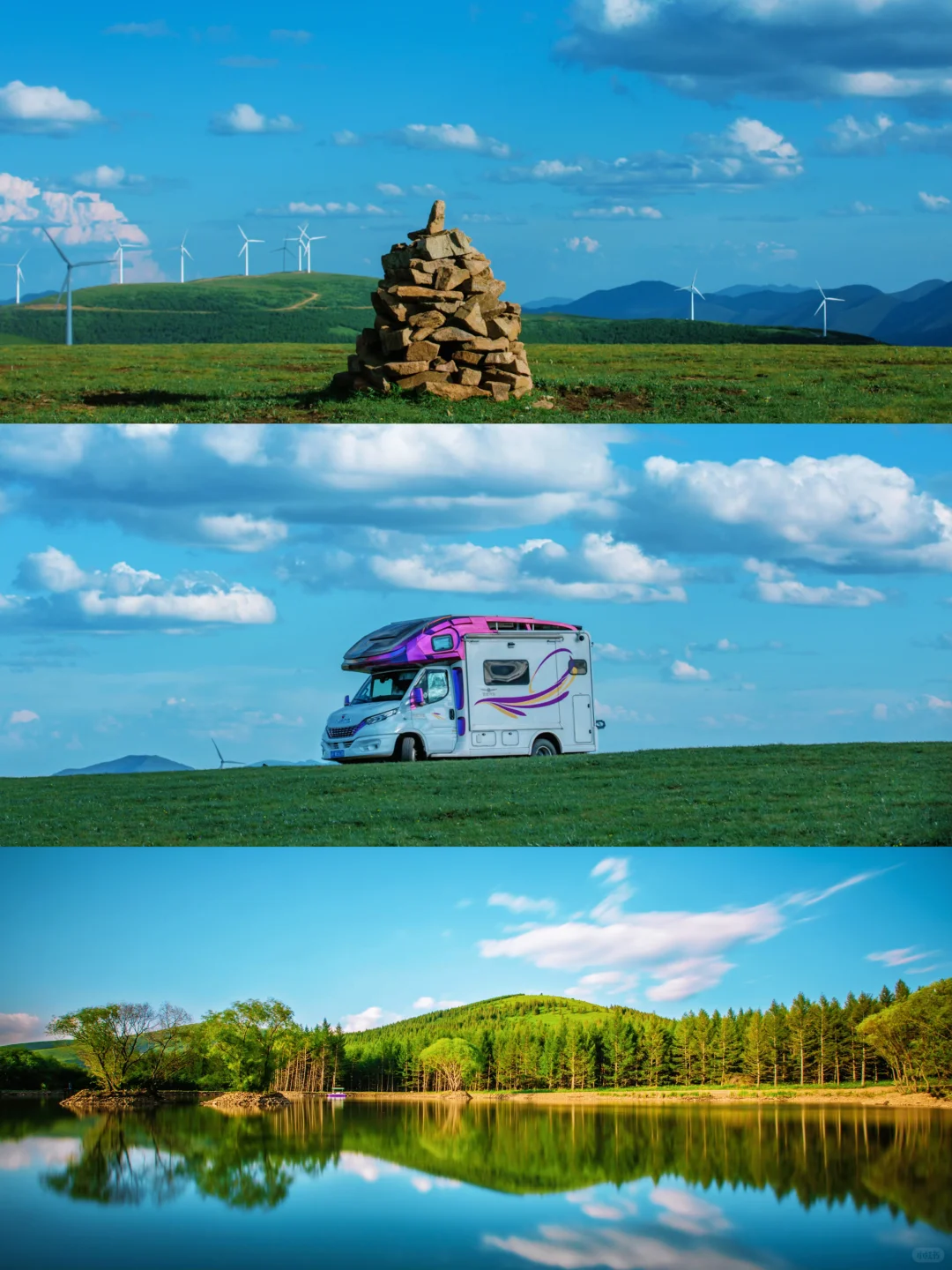 🌿误入上帝的后花园｜宫崎骏看了都得愣3秒‼️