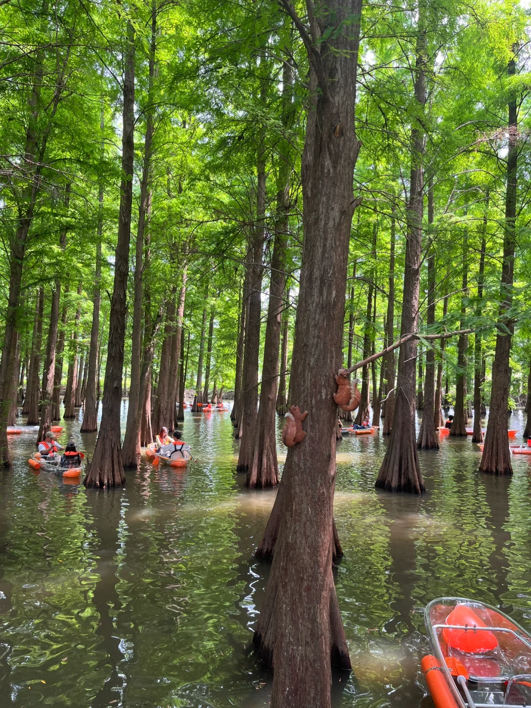 😭肇庆七星岩回来了，我的建议是……