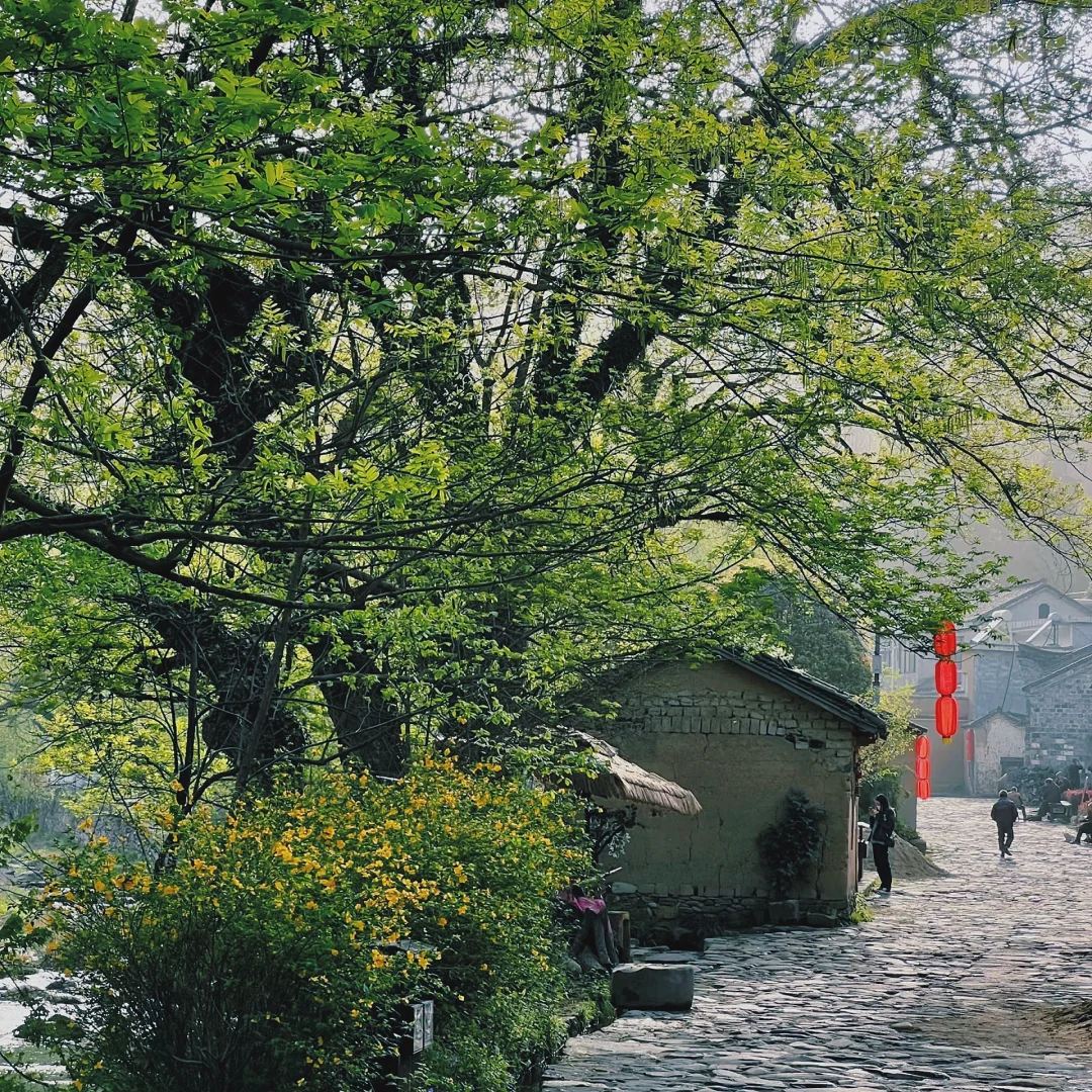 五一免费玩转河南“小江南”新县古村速藏
