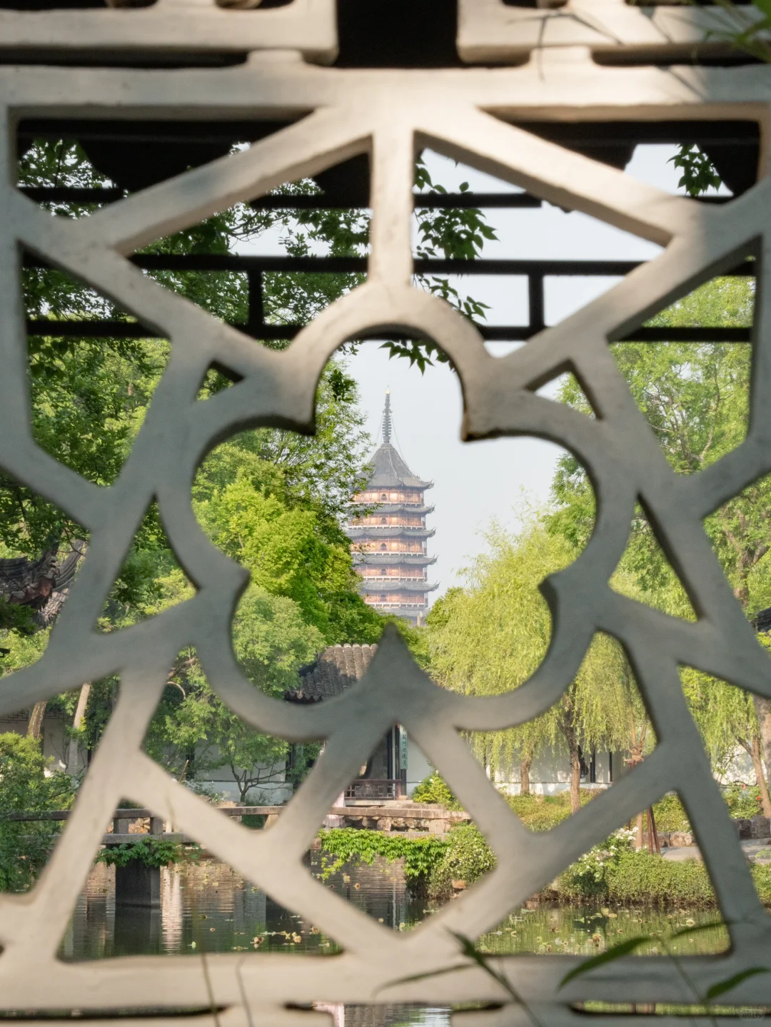 为了这1⃣️6⃣️张图，特地来了趟苏州