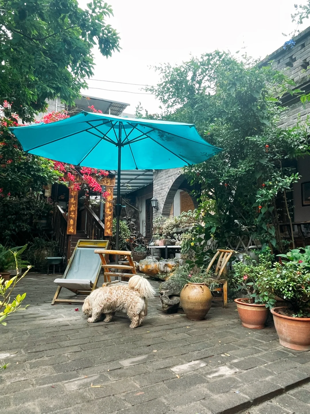 寻觅小众景点ing📸超级适合拍照的网红古村