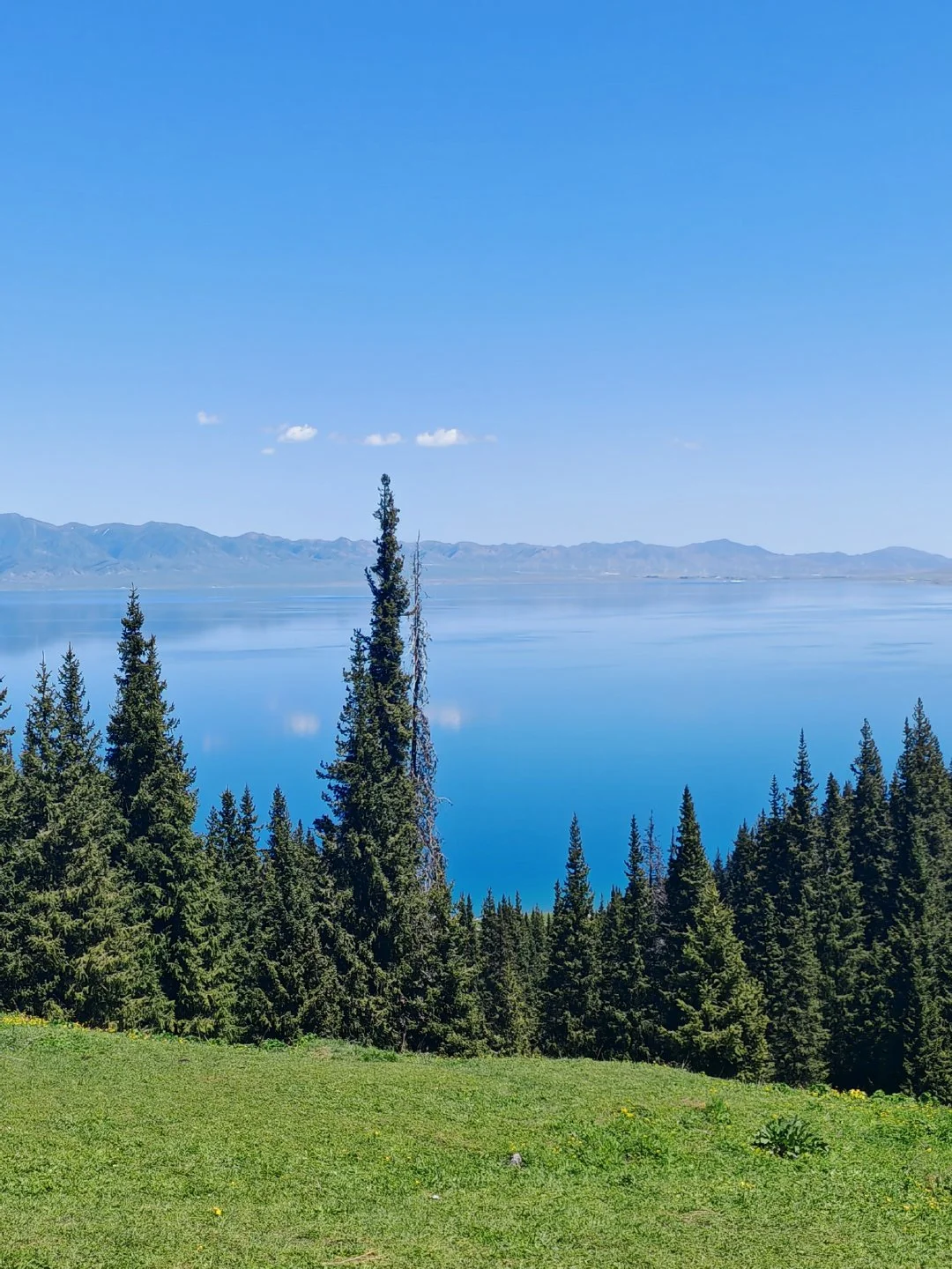 新疆伊犁小团已回，谈谈真实感受（8天7晚）