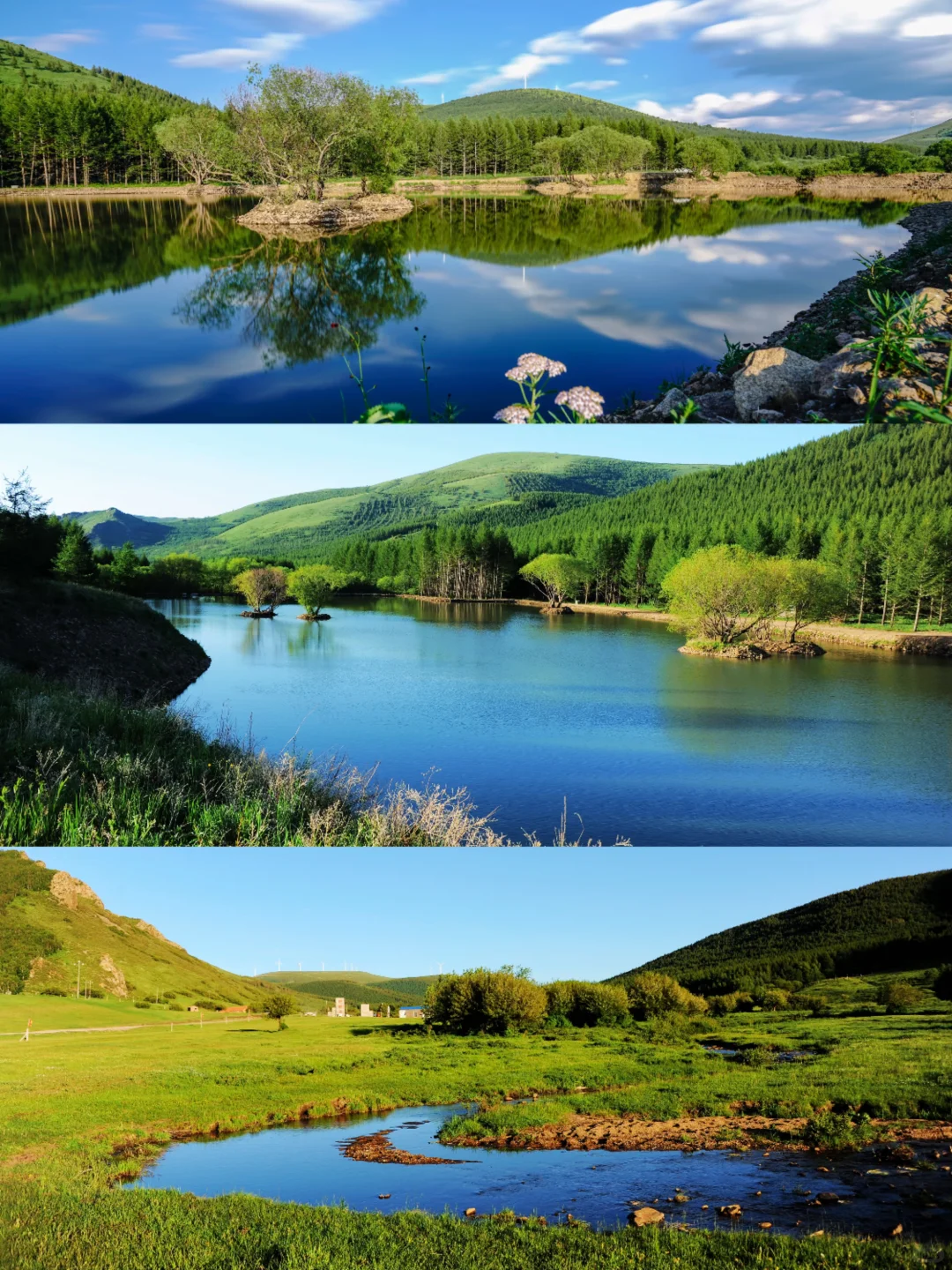 🌿误入上帝的后花园｜宫崎骏看了都得愣3秒‼️