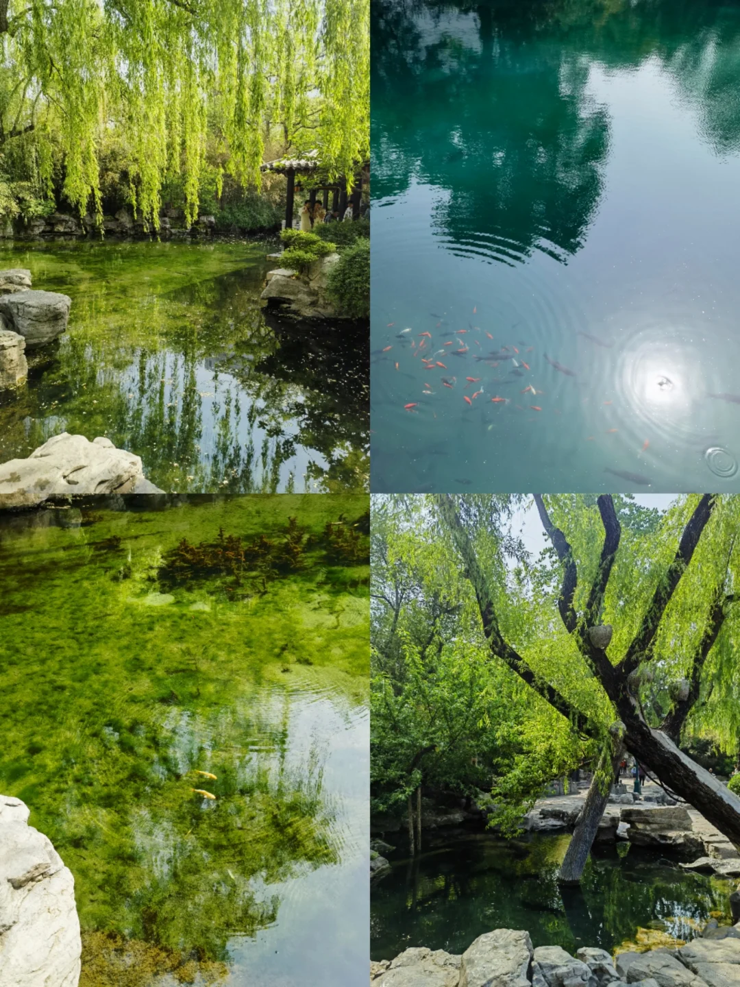 济南｜五龙潭公园