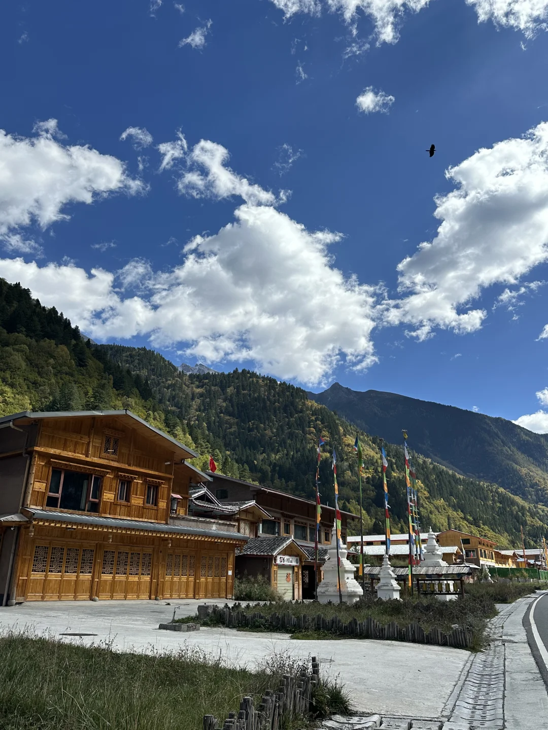 不早说!!九寨沟可以一票玩几天😭😭