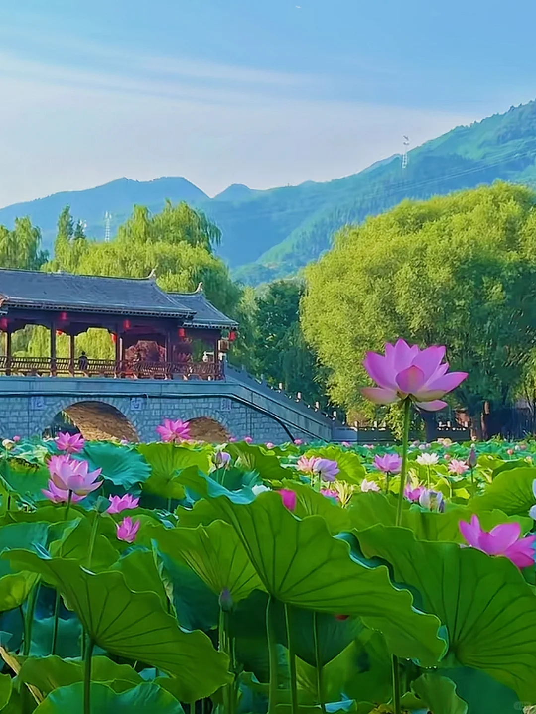 🚗周末逃离计划❗️人均300+古镇&金丝峡