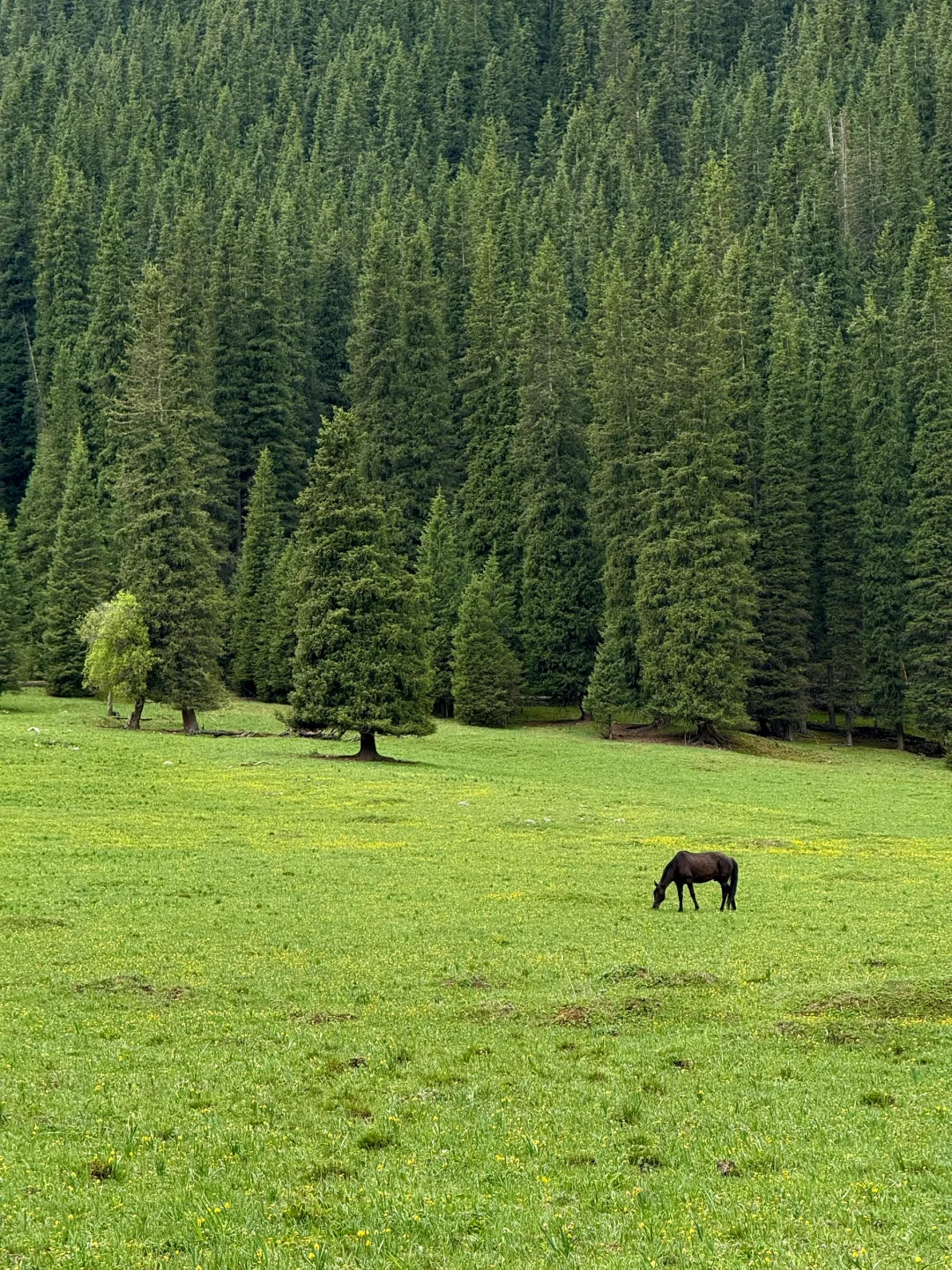 夏塔真的会惩罚每一个下午才进景区的人..