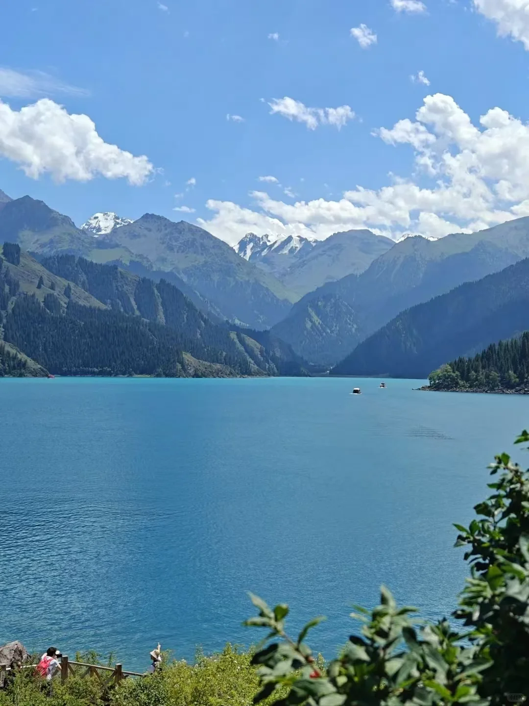 🌄天山天池 | 夏日限定的清凉仙境攻略