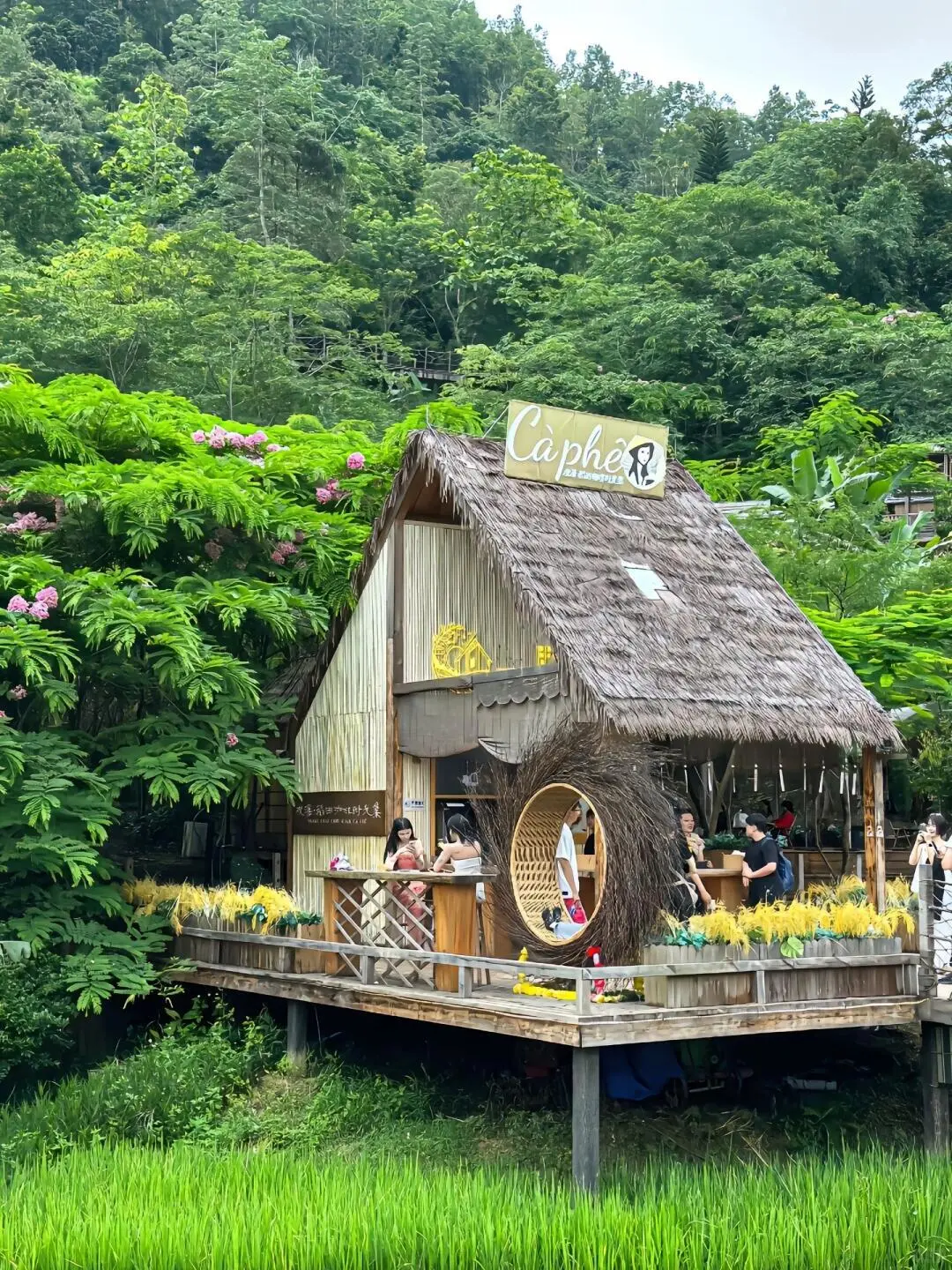 🌈迄今为止，我最喜欢的亲子游城市出现了！！