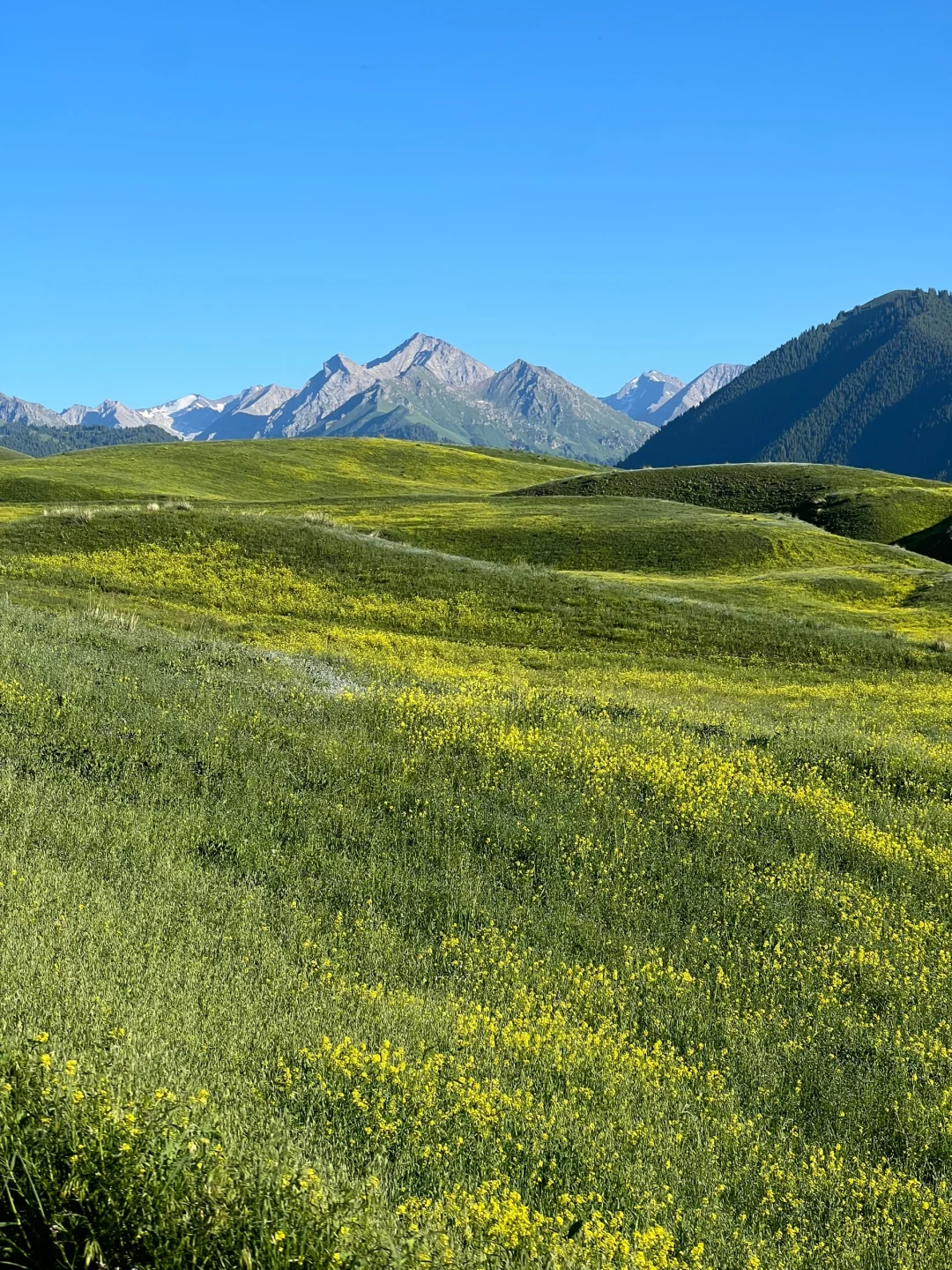 为什么今年大家都在劝退新疆？有这么糟糕吗？