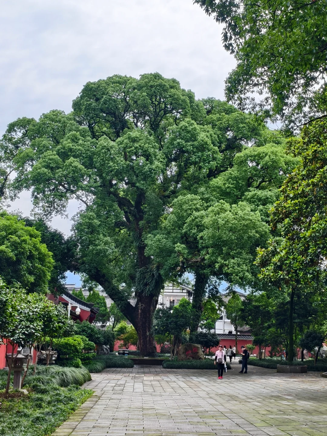 鹰潭龙虎山不累人一日游