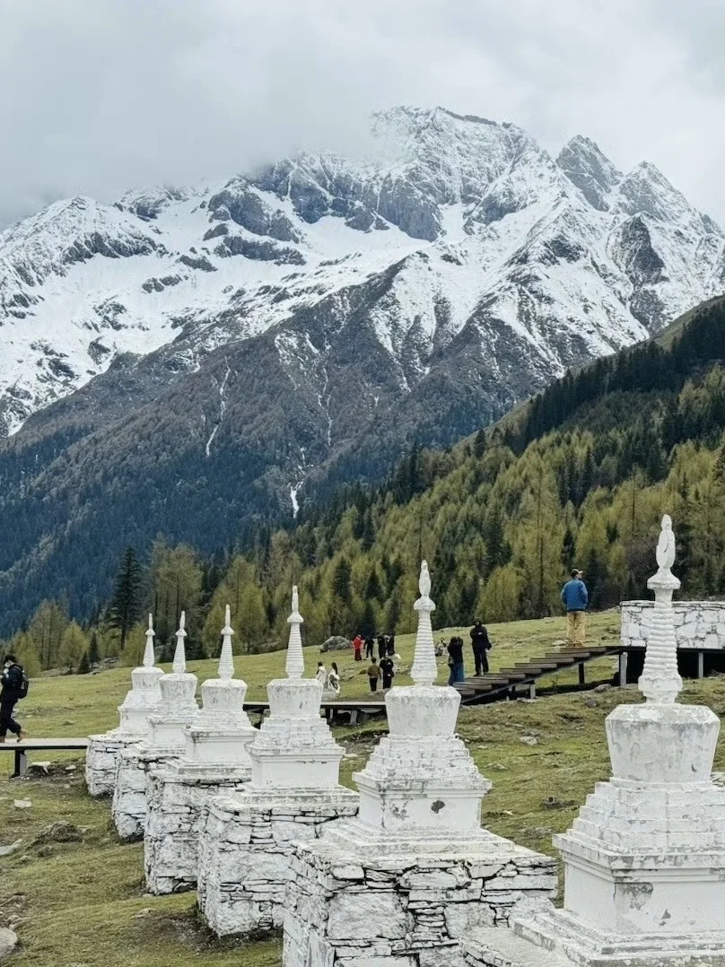 5.19📍四姑娘山实况，草绿了🌿端午来的听劝…