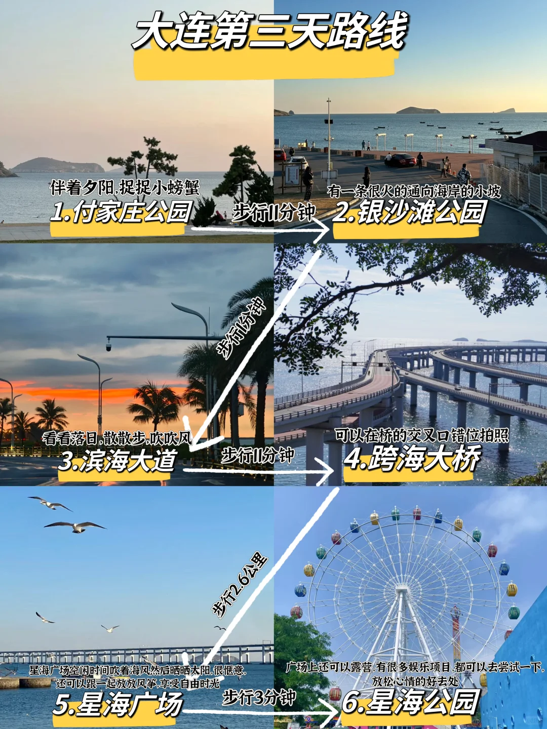 大连路书|连夜写的三天行程攻略！一定要看❗️