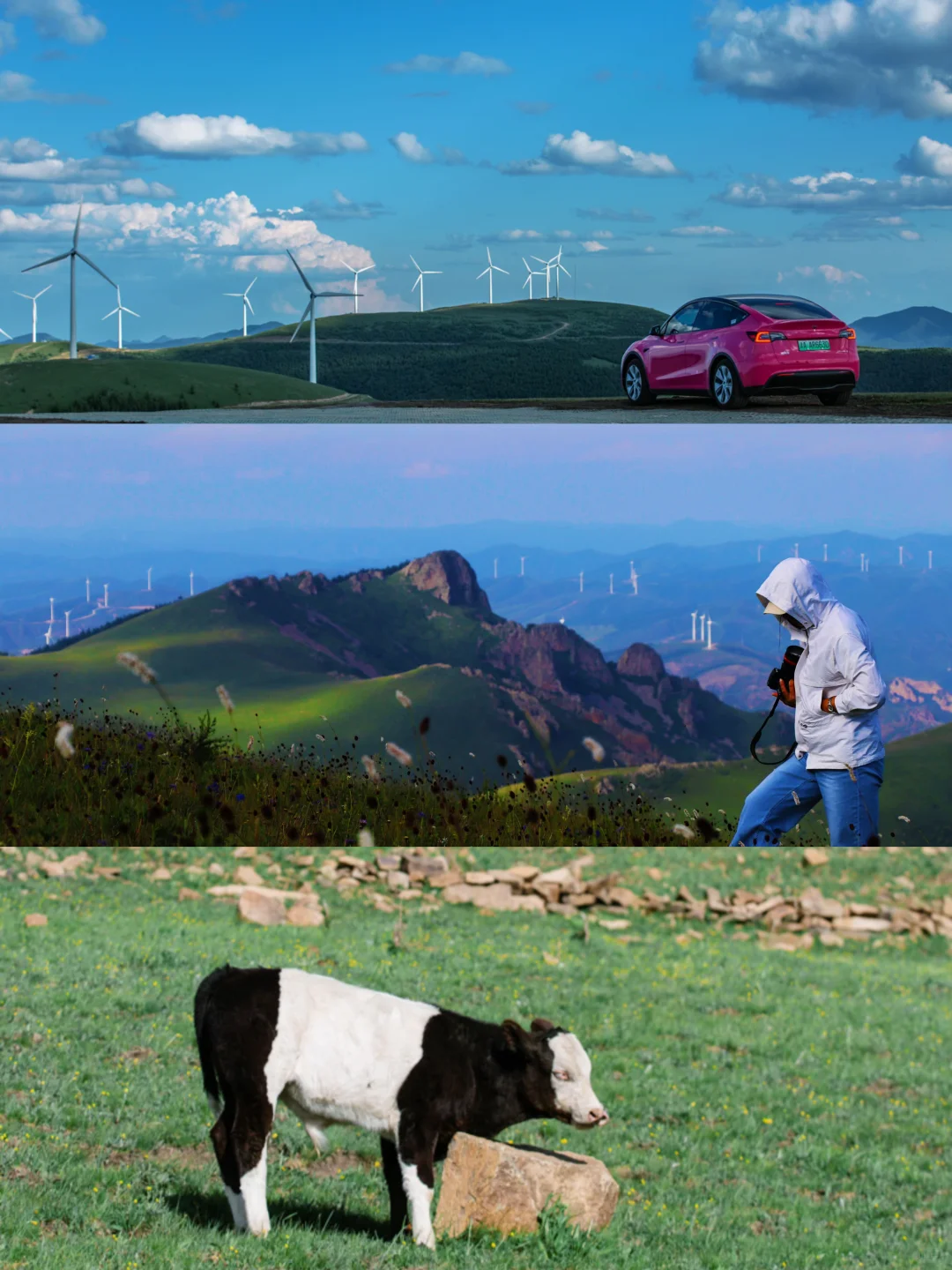 🌿误入上帝的后花园｜宫崎骏看了都得愣3秒‼️