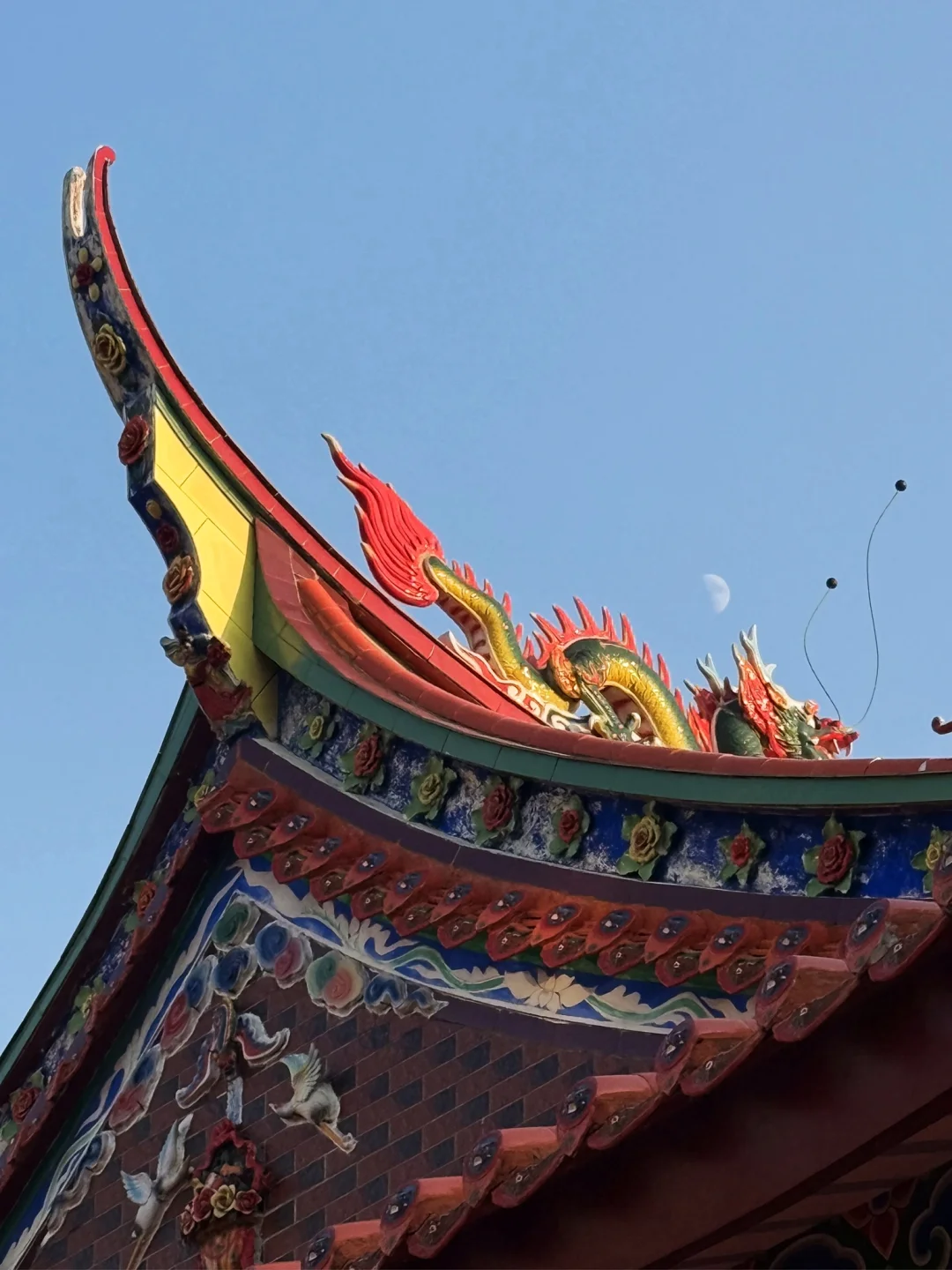 听劝👂5月-9月来湄洲岛的姐妹请🐴住