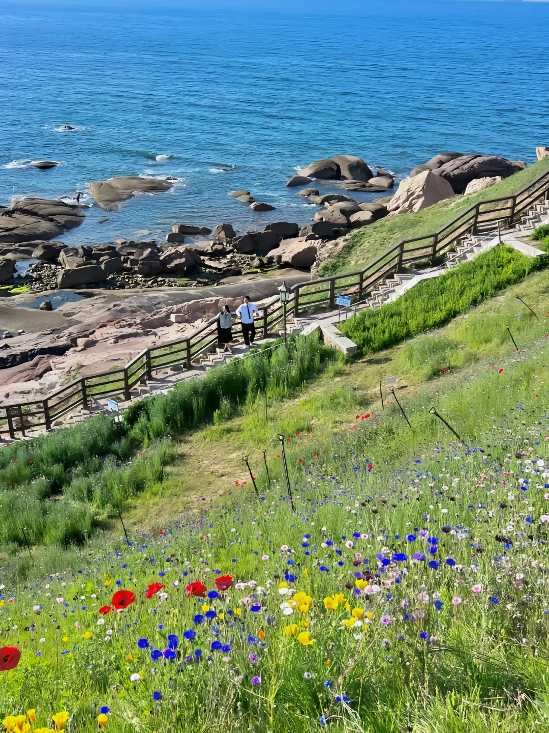 青岛三天两晚保姆级攻略|本地人私藏