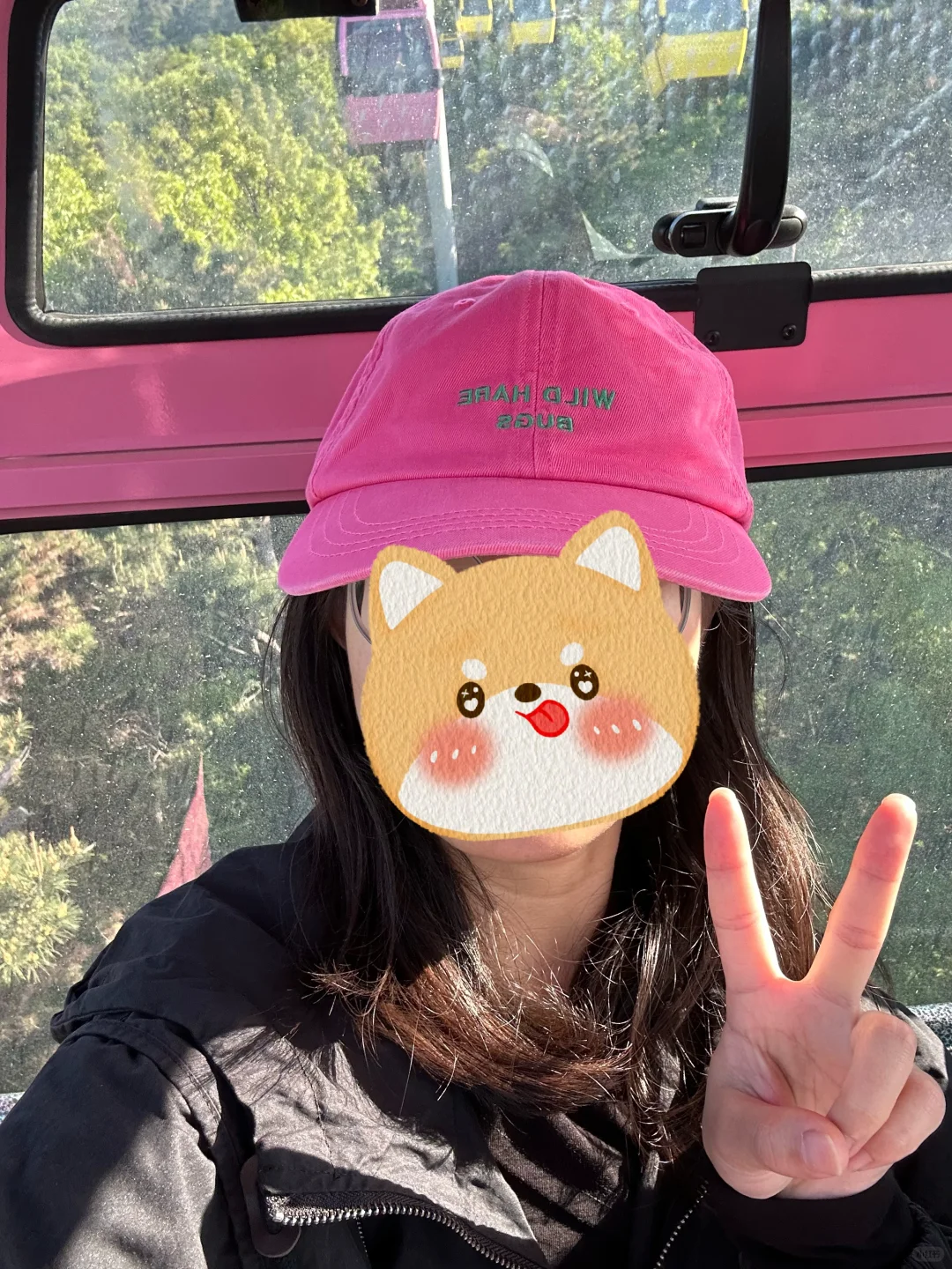 大连：莲花山观景台索道-跨海大桥最佳观景点