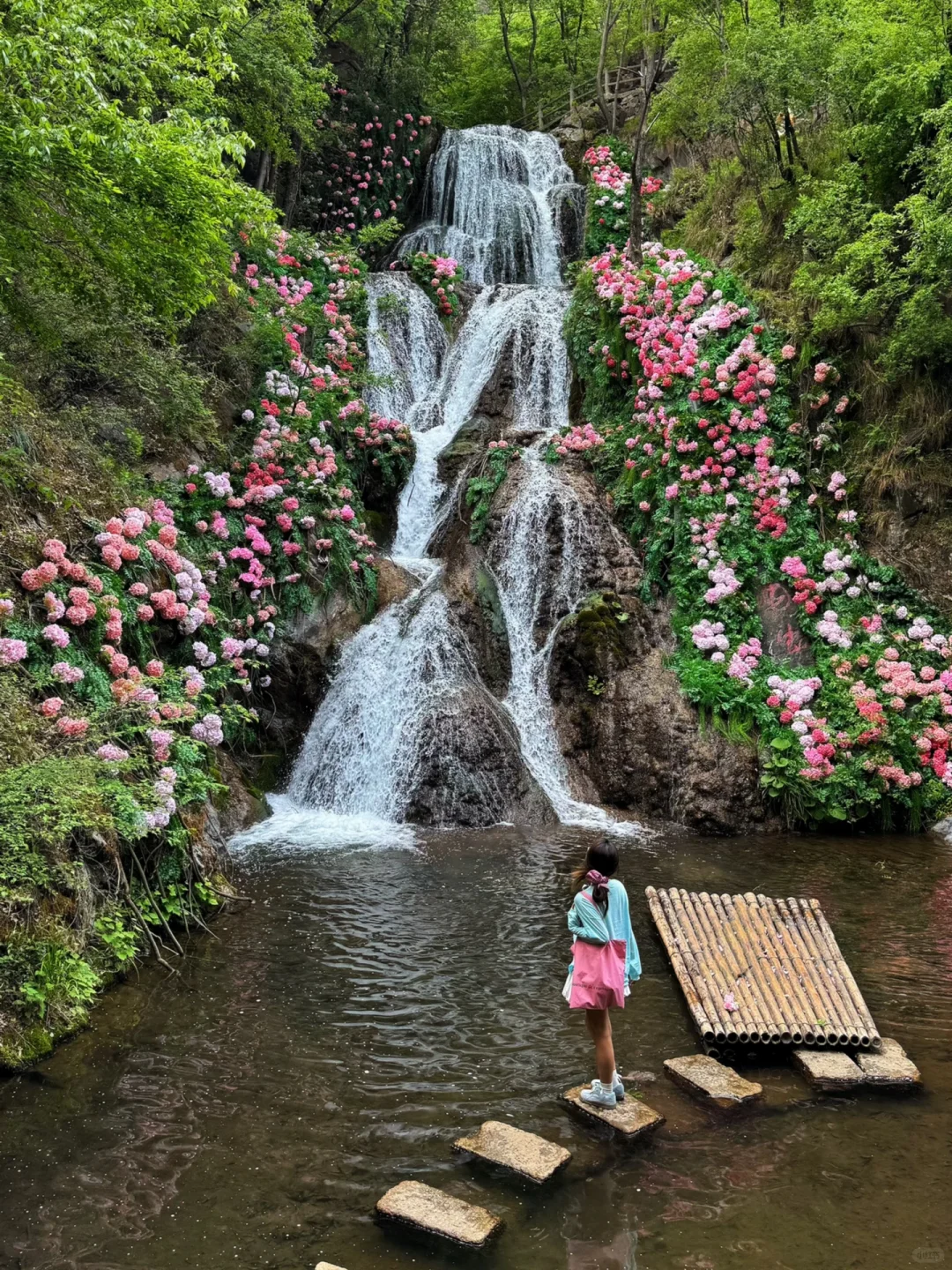 洛阳的花瀑也太浪漫了！！！！！