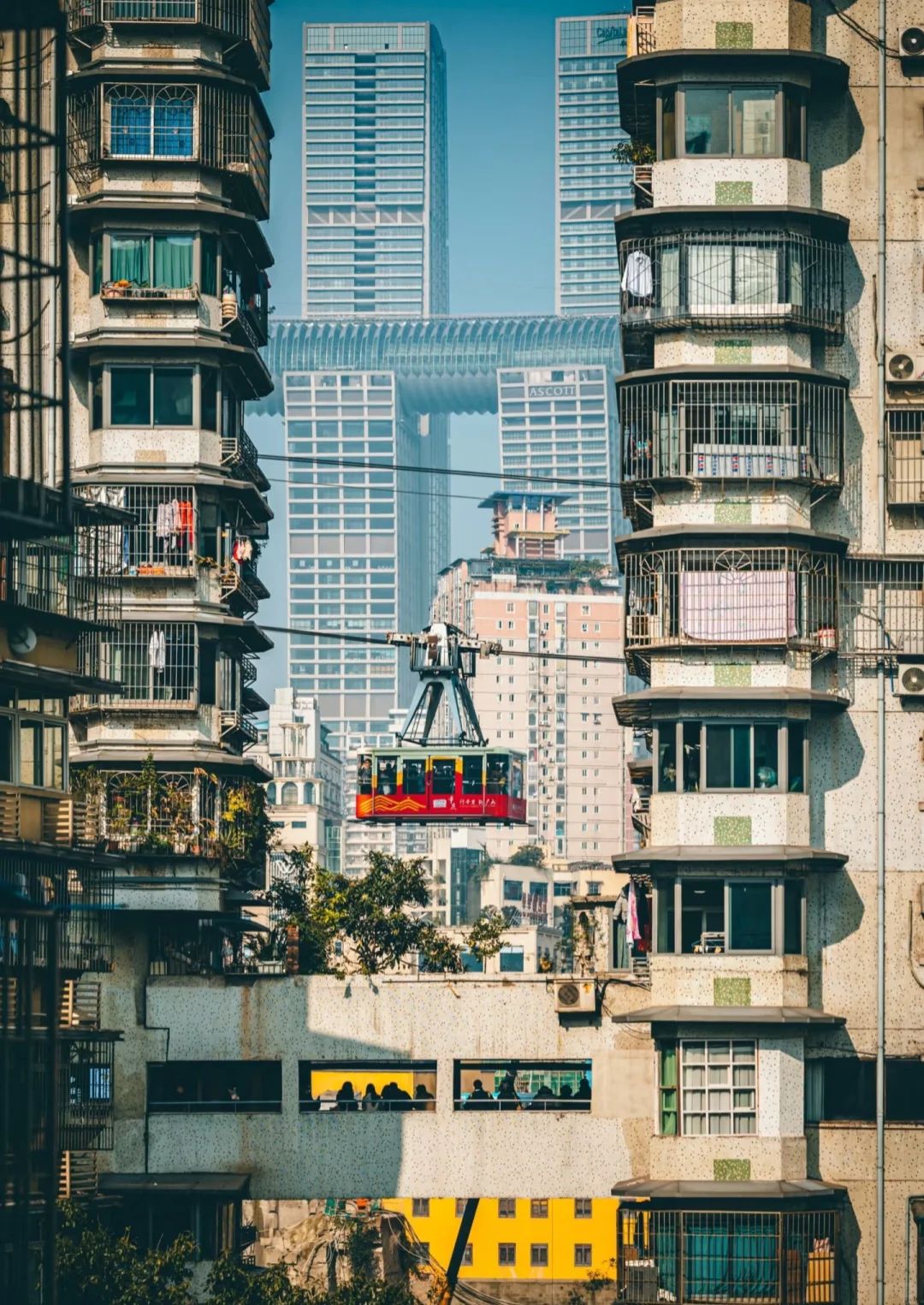 一起去旅行吧🚞🚃🚃🚃💨