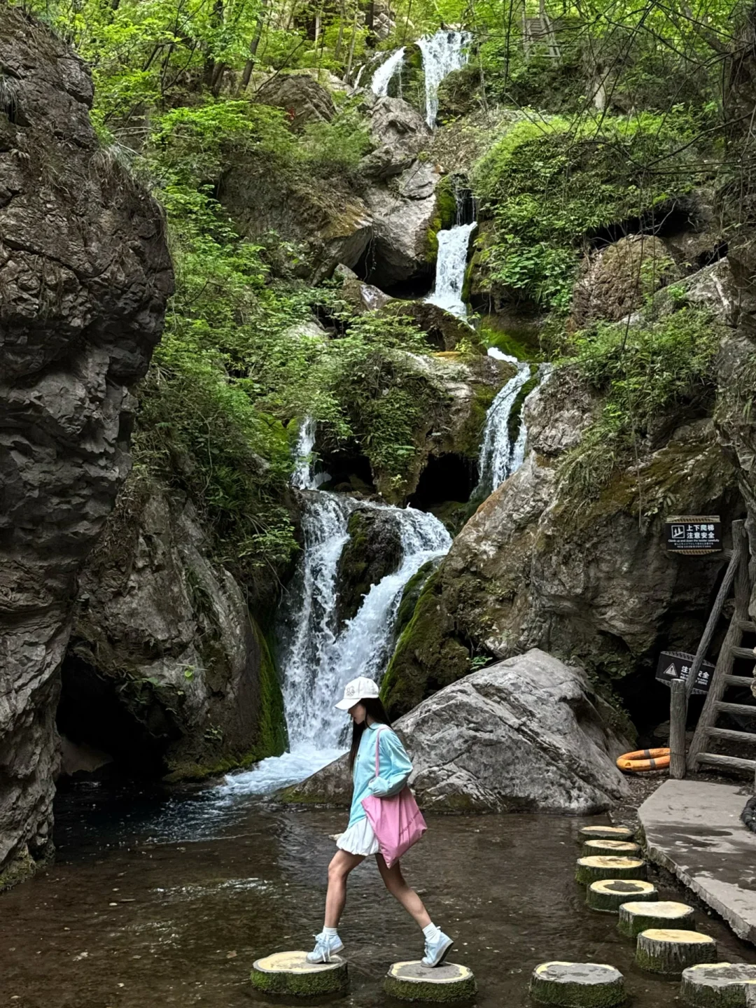 洛阳的花瀑也太浪漫了！！！！！