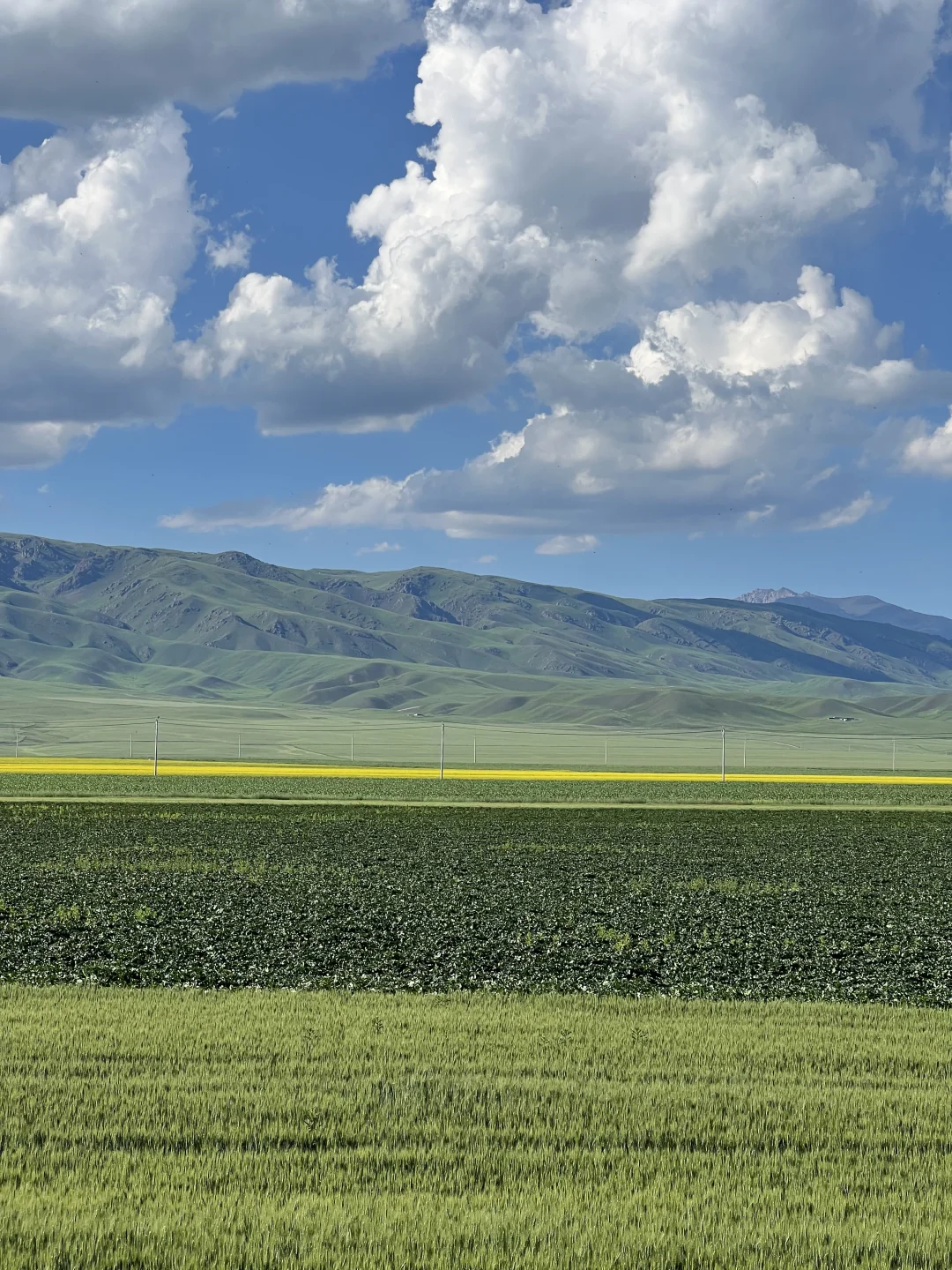 为什么今年大家都在劝退新疆？有这么糟糕吗？