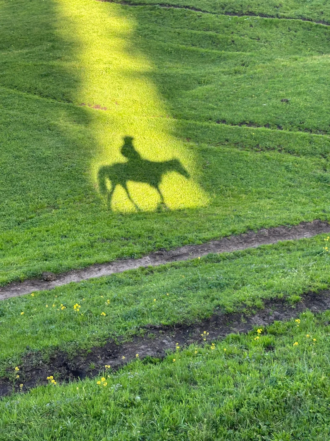 live｜新疆的初夏