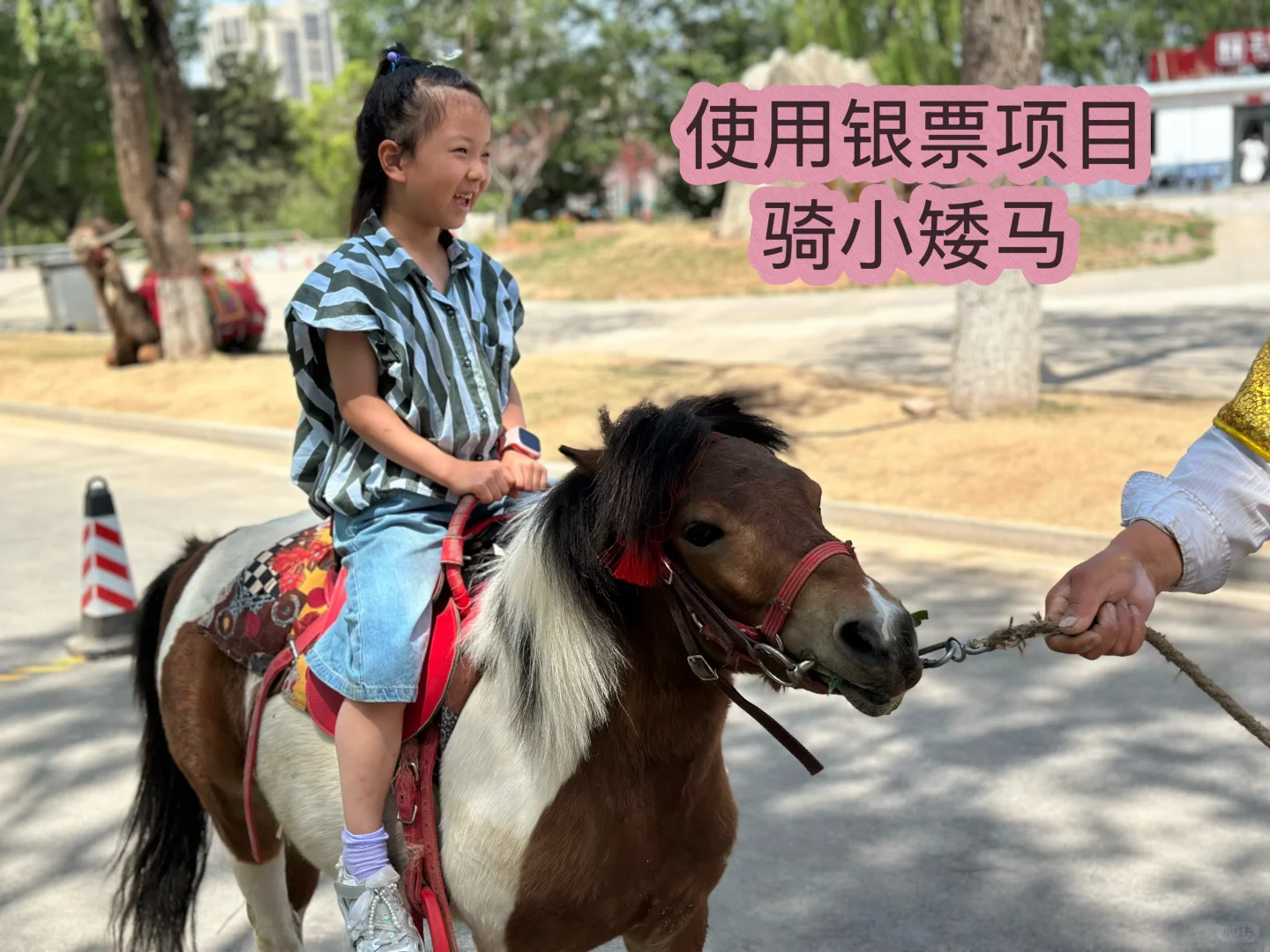 ✨司徒小镇｜距离郑州开车仅需2小时！