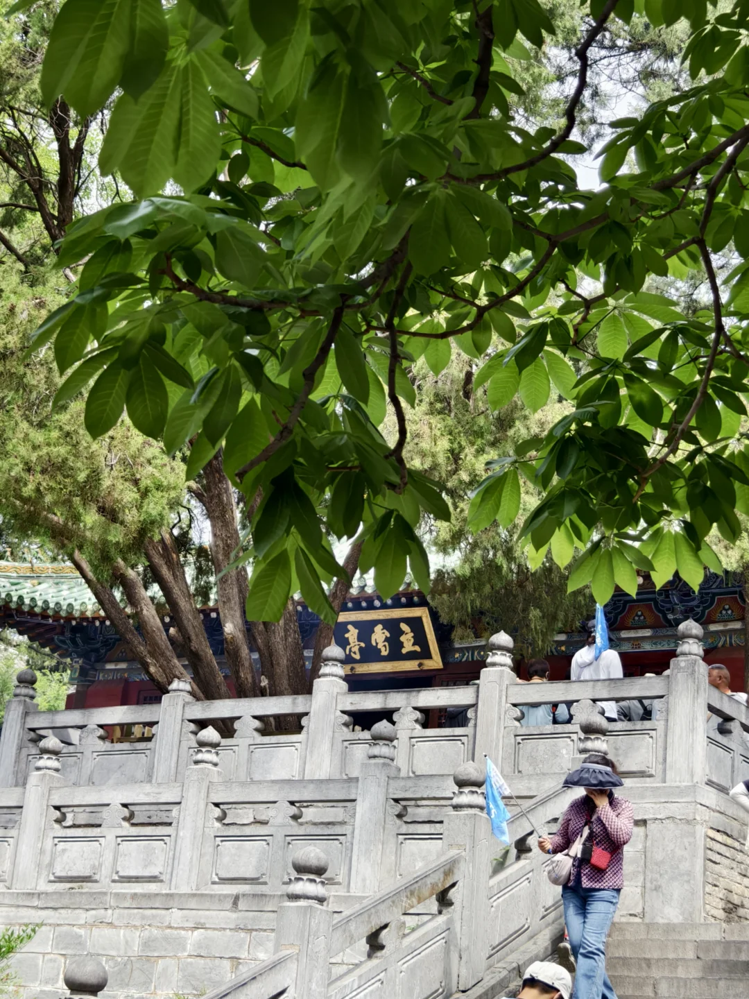 五天四晚河南旅游攻略